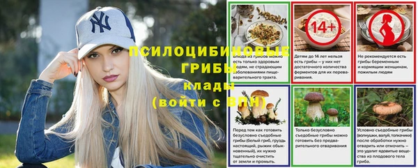 spice Балабаново