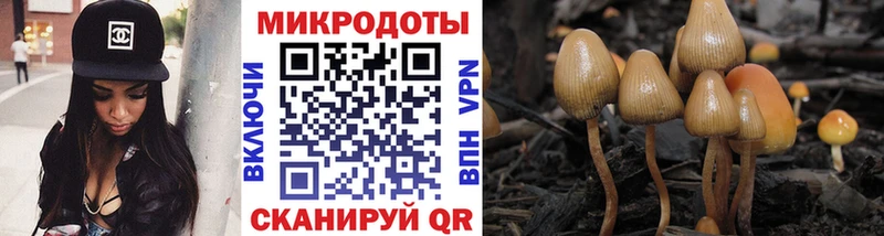 Галлюциногенные грибы мицелий  цена   Фёдоровский 